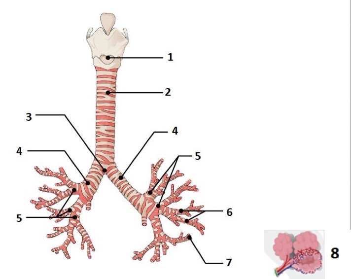 <p>4</p>
