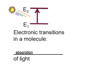 <p>cuz e-s are spread over a large area, delocalized e-s form a large cloud that stabilizes the molecule!</p><p></p><p>incoming light shines on the molecule —> e- absorbs it —> it excites from lower energy to higher energy level</p>