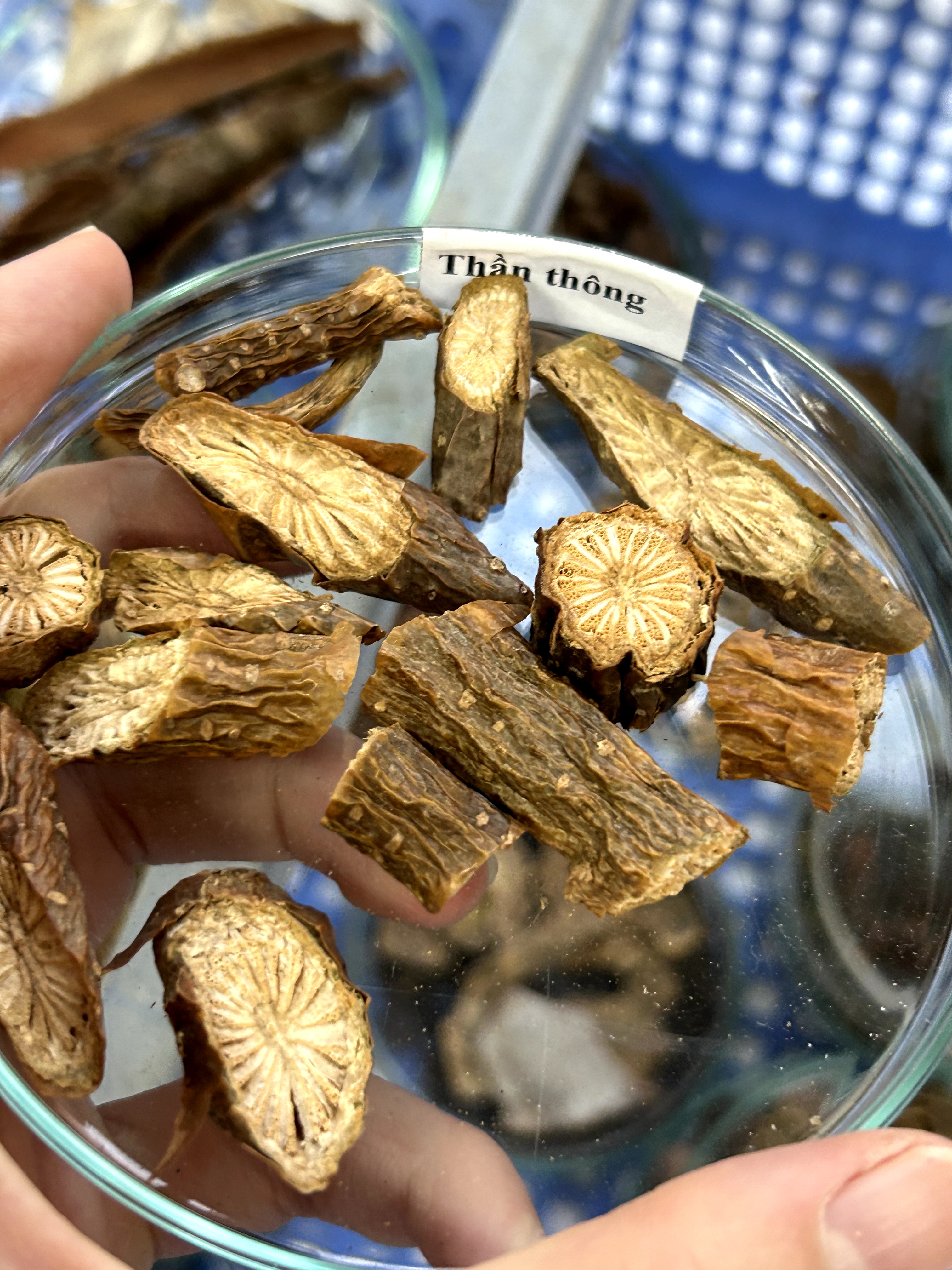 <p>thần thông</p>