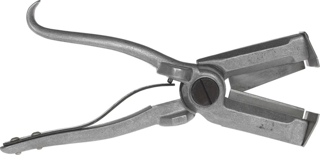 <p>used typically for docking tails or emasculating (castration)</p><ul><li><p>Scissor-like part used for cutting; points on end used to help grab testes to pull out far enough for cutting</p></li></ul><p></p><p></p>