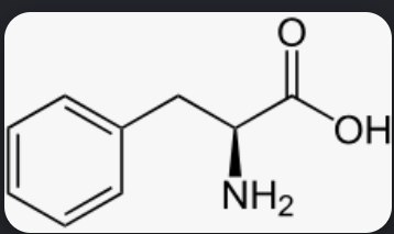 <p>What is this amino acid? </p>