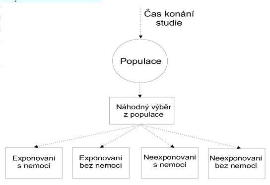 <ul><li><p>retrospektivní </p></li><li><p>náhodný výběr jedinců ze studované populace</p></li><li><p>jednorázový sběr dat o zdravotním stavu a úrovni expozice</p></li><li><p>rozdělení výběru na 4 skupiny:</p><ul><li><p>exponovaní s negativnímu účinky</p></li><li><p>exponovaní bez negativních účinku </p></li><li><p>neexponovaní s negativnímu účinky</p></li><li><p>neexponovaní bez negativních účinku </p></li></ul></li><li><p>vhodné pro sledování chronických účinků </p></li></ul><p></p>