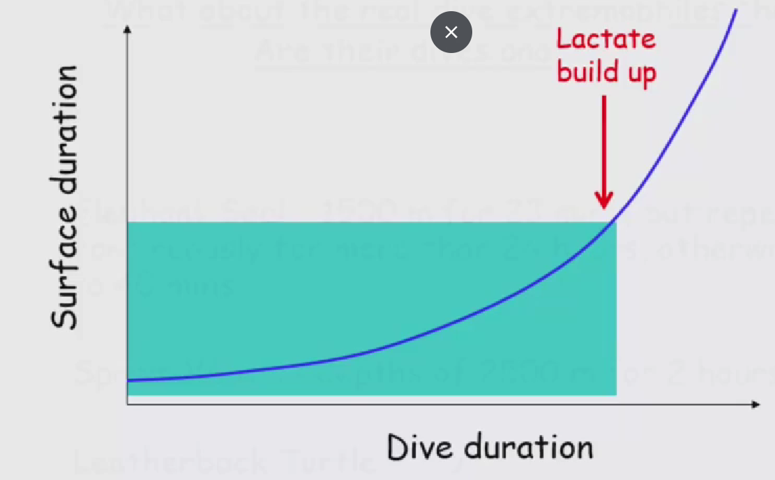 <p>Don’t go anaerobic because it takes a longer time to recover </p>