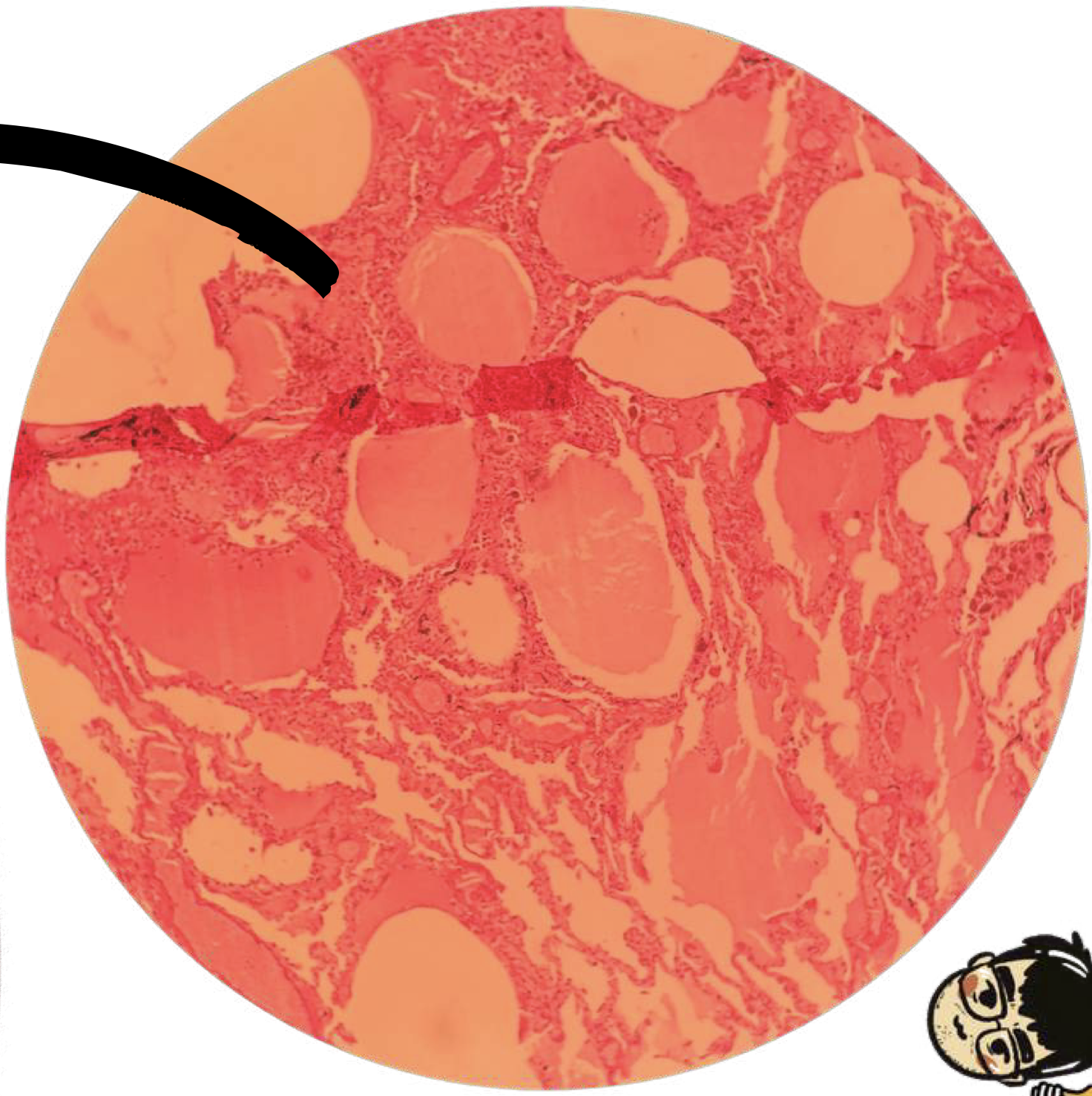 <p>Identify</p>