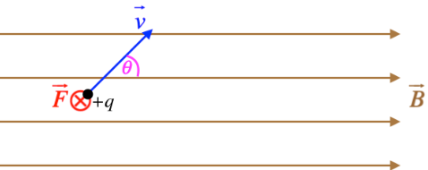 <p>Magnetic Force of a Charged Particle</p>