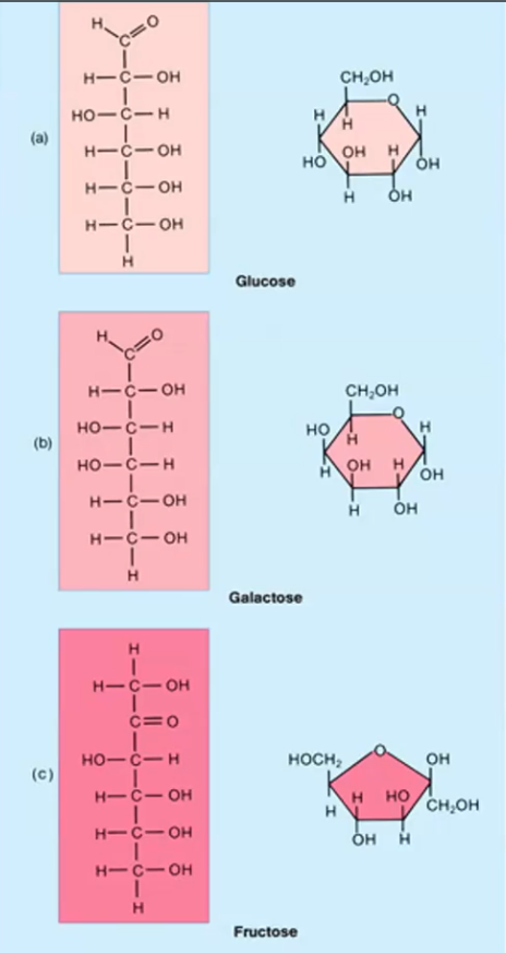 <p>These are monosaccharides (simple sugars) - carbohydrates.</p><p><strong>Formula:</strong> C₆H₁₂O₆</p><p></p><ol><li><p>Glucose</p></li><li><p>Galactose</p></li><li><p>Fructose</p></li></ol><ul><li><p>These are stereoisomers: same formula, different arrangement.</p></li></ul><p></p>