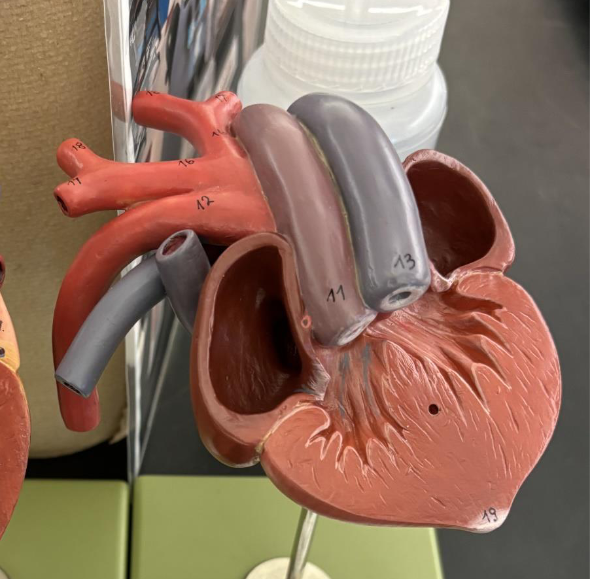 <p>what is this </p>