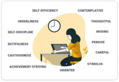 <p>• Organized or disorganized</p><p>• Careful or careless</p><p>• Disciplined or impulsive</p>