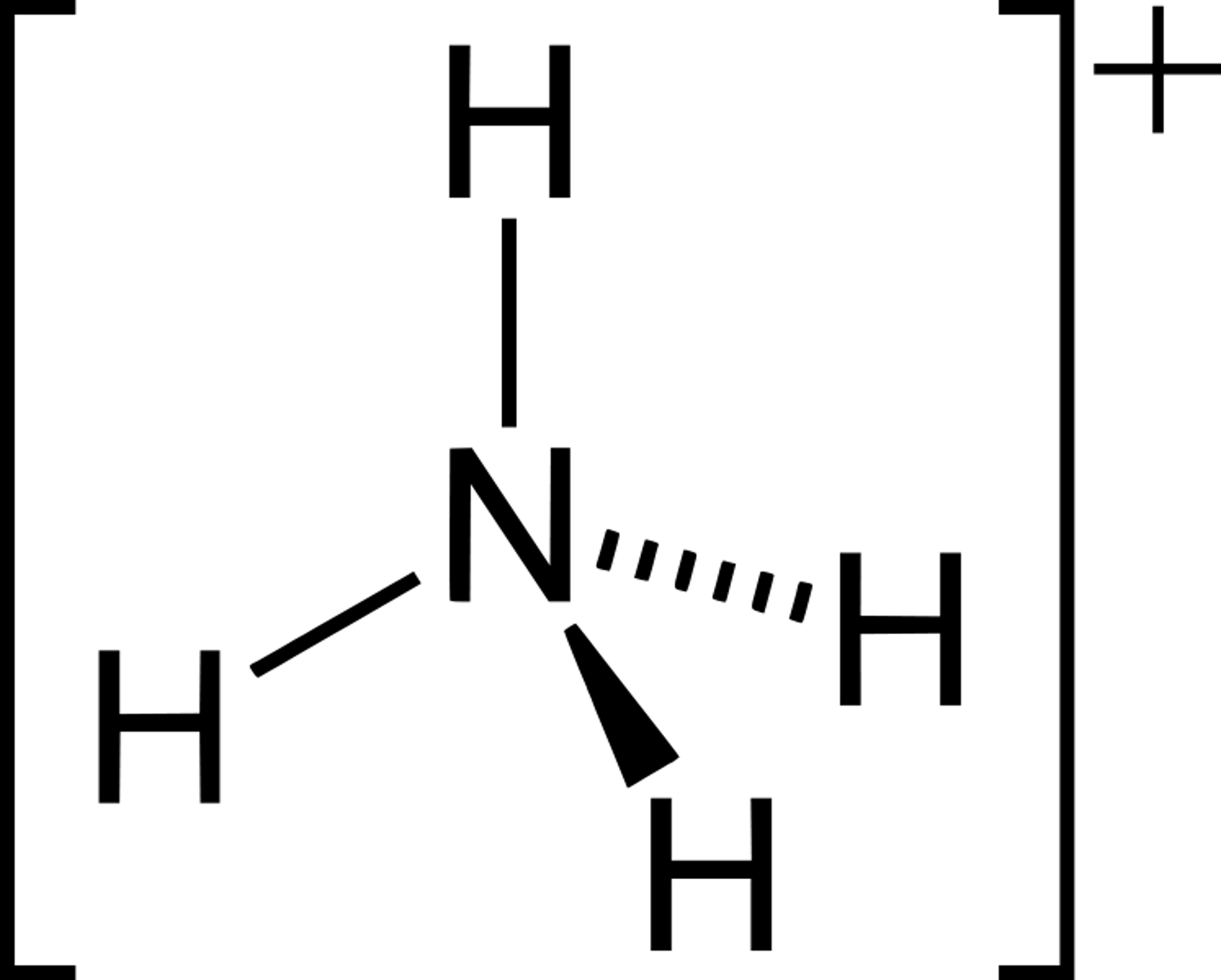 <p>NH4+</p>