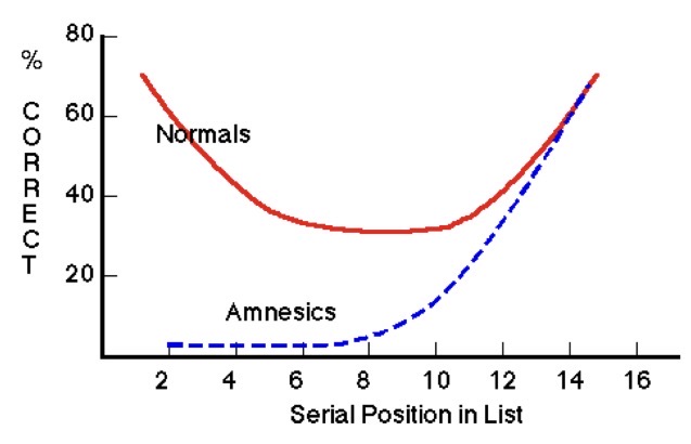 <p>Inability to form new long term memories</p><p>Does not show primacy effect and wipes out intermediates, but shows <u>recency effect</u></p>