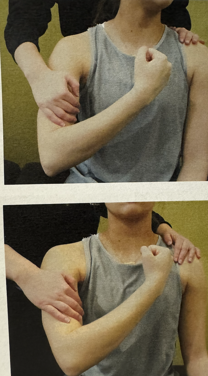 <ul><li><p>position: sitting with shoulder adducted and elbow flexed and supinated, then flex and horizontally adduct arm (rasputen)</p></li><li><p>stabilze: opposite shoulder</p></li><li><p>palpate: too deep</p></li><li><p>resistance: towards extension and abduction</p></li></ul><p></p>