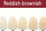 <p>VITA hue category that is REDDISH BROWN </p>