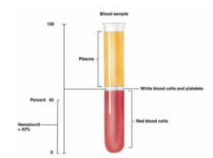 <p>Percentage of red blood cell mass in total blood volume.</p>