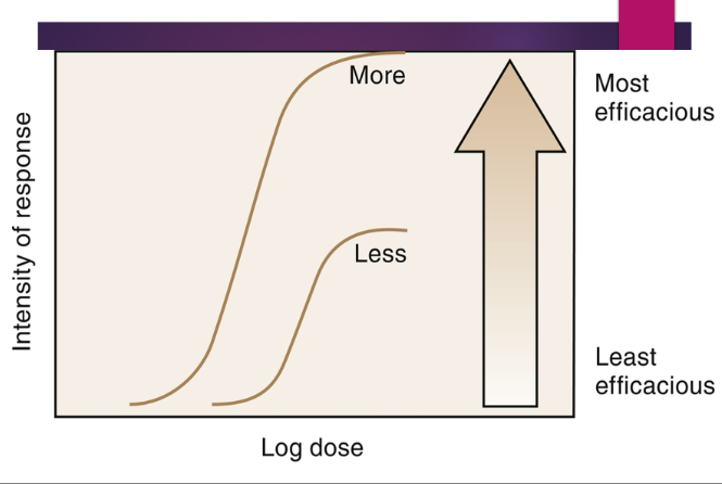 <ul><li><p><strong>the maximum intensity of effect or response that can be produced by a drug</strong></p></li><li><p><strong>aka the maximum effect a drug can produce</strong></p></li><li><p>administering more drug will NOT increase effect but WILL increase the probability of an adverse reaction</p></li></ul><p></p>
