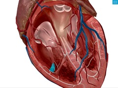 <p>Identify the structure</p>