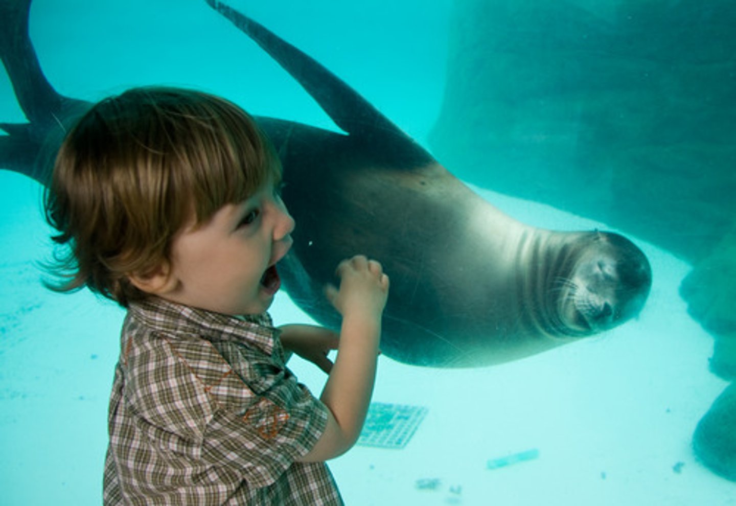 <p>The children were jumping up and down with excitement.</p><p>(sự kích thích)</p>