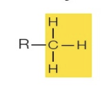 <p>methyl</p>