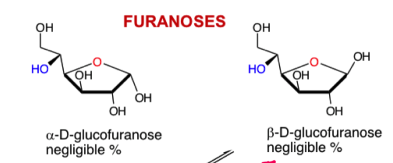 <ul><li><p>form a 5 mem furanose ring</p></li><li><p>alpha and beta</p></li></ul><p></p>