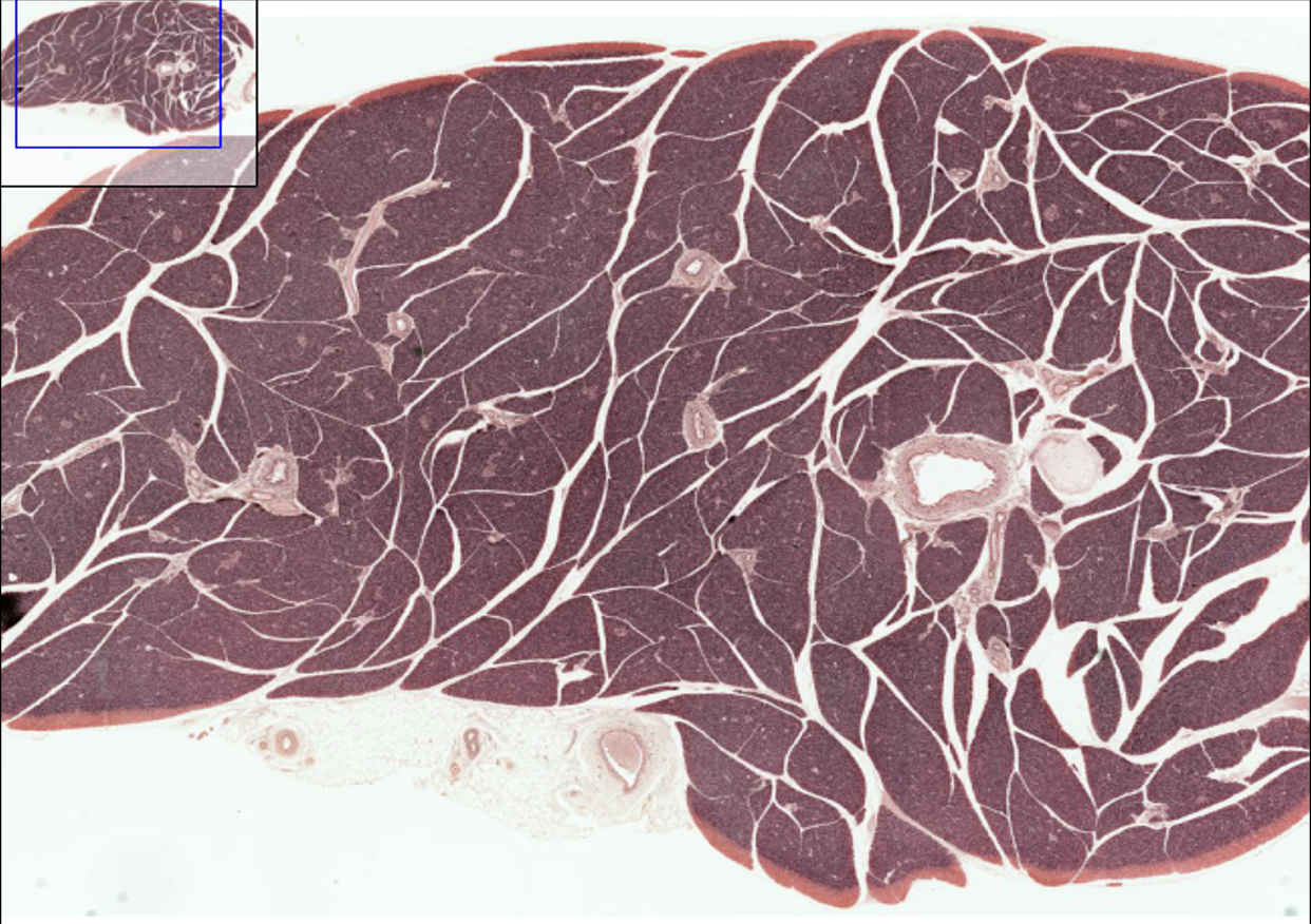 <p>What structure is this?</p>