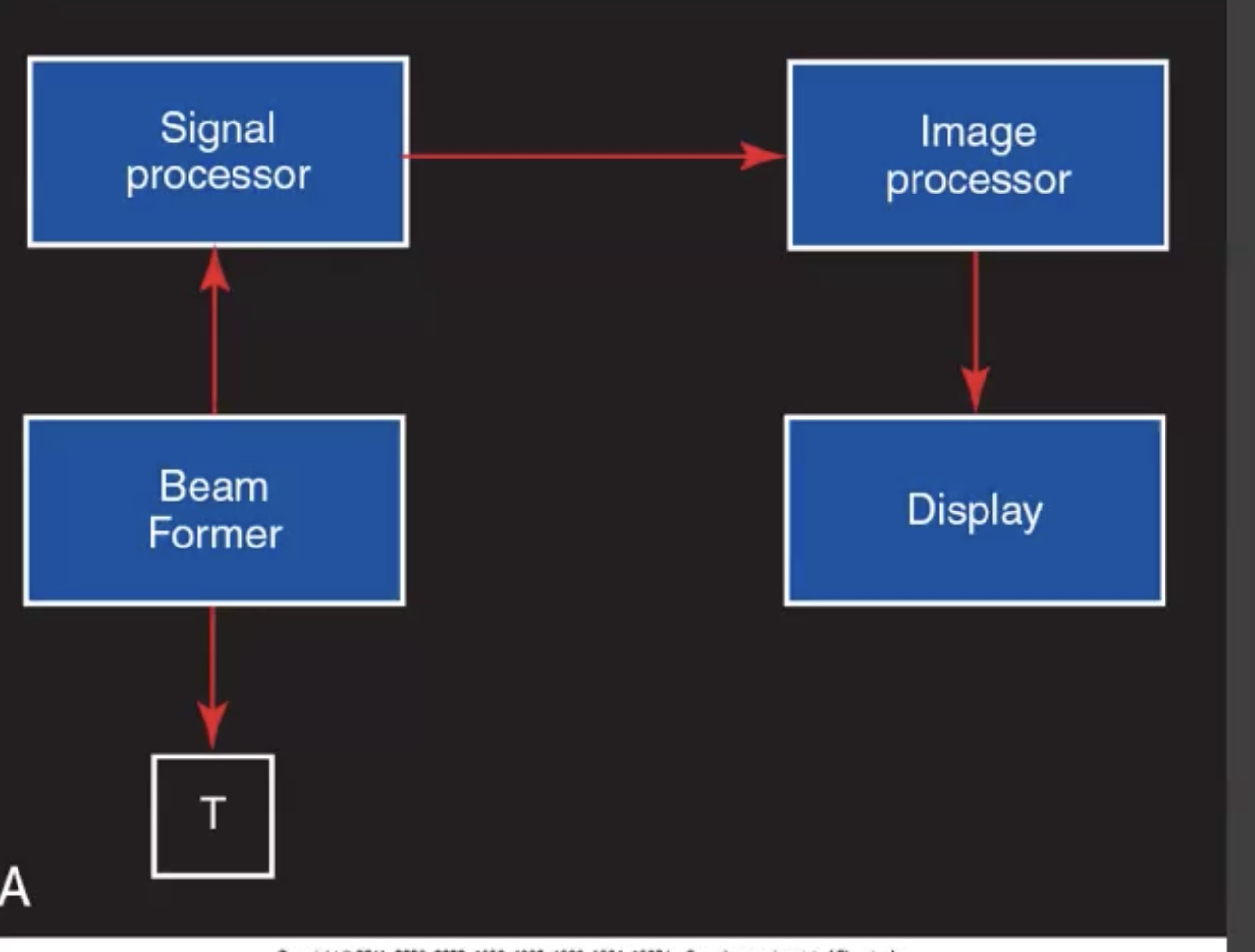<p>With beam former </p><p>Signal processor </p><p>Image processor </p><p>Display </p>