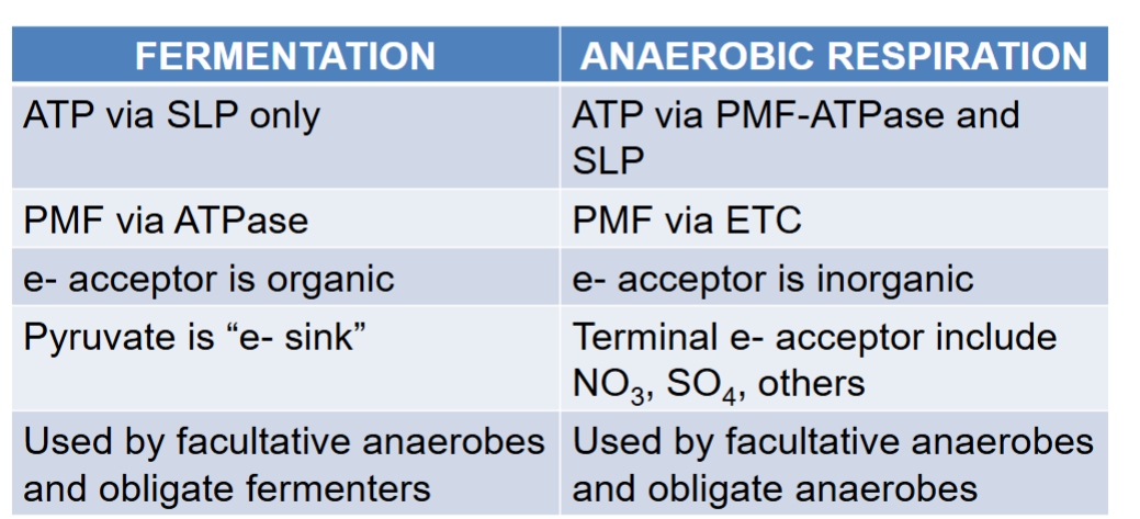 <p>fermenterts reverse the ETC, e- acceptor is organic, pyruv is e sink</p>