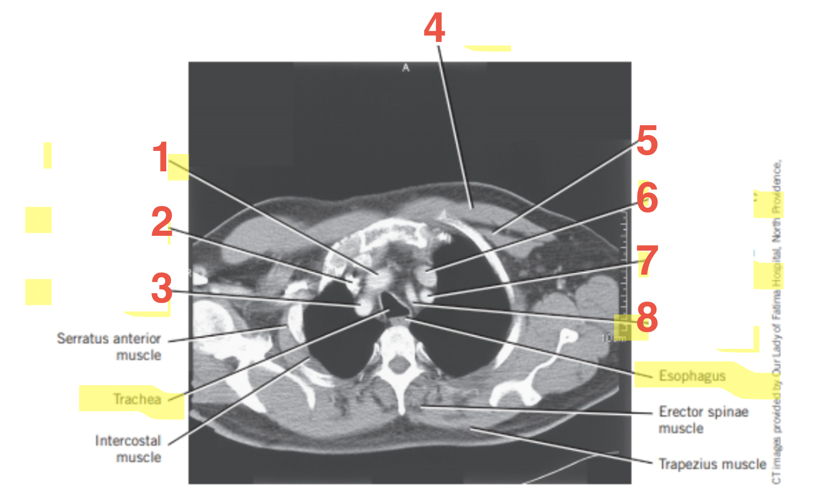 <p>1</p>
