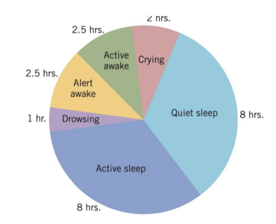 <ul><li><p><span style="background-color: transparent;">Humans are born altricial (i.e., dependent on their parents for survival).</span></p></li><li><p><span style="background-color: transparent;">The first 3 months after birth is often called the 4th trimester (the newborn period)</span></p></li></ul><p></p>