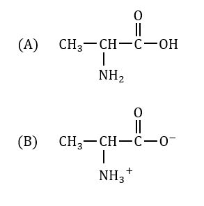 <ul><li><p>Nonpolar side chain hydrophobic</p></li></ul><p></p>