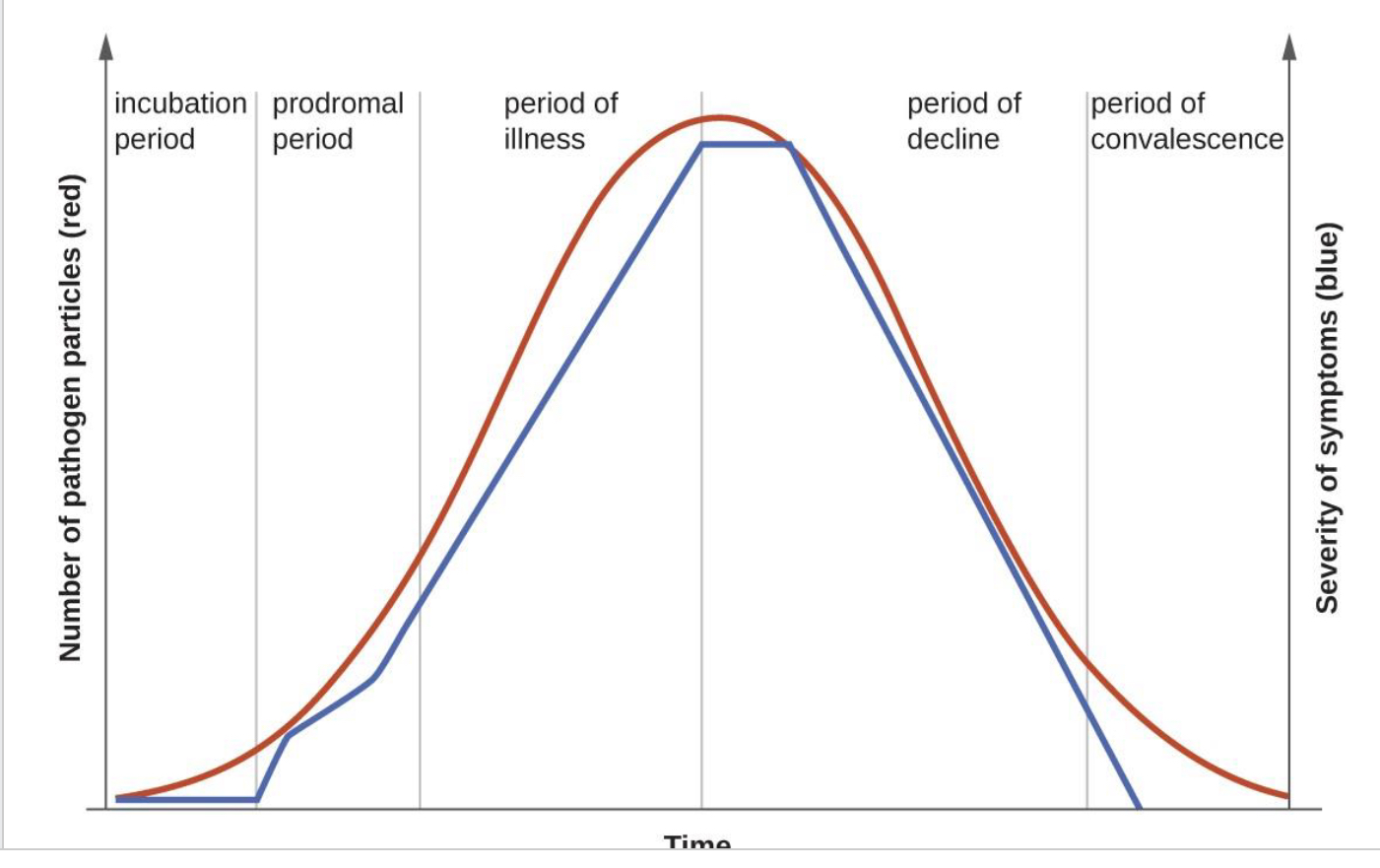 <p>what are the stages of development and their characteristics?</p>