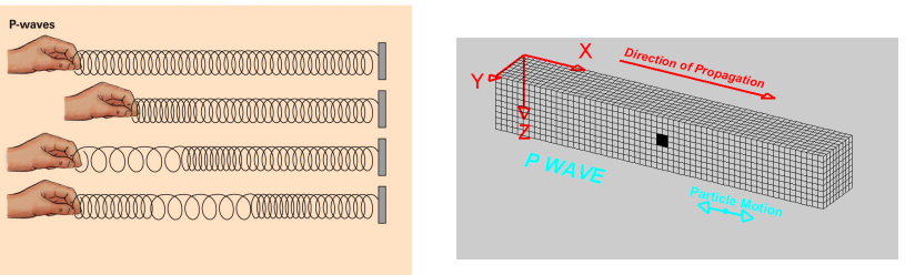 <ul><li><p>longitudinal and will travel through liquids, solids, and gases</p></li><li><p>1st type of wave to arrive at monitoring station after earthquake</p></li><li><p>interior</p></li></ul><p></p>