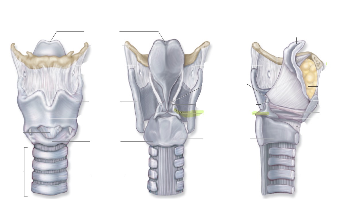<p>what is this </p>