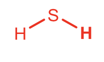 <p>Hydrogen Sulfide</p>
