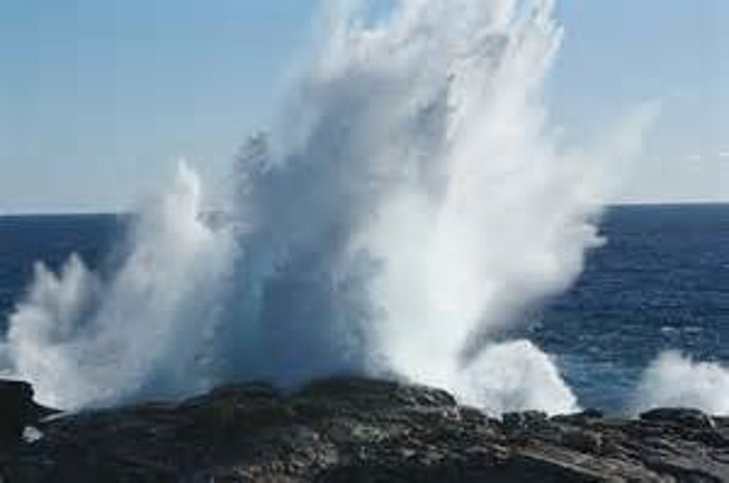 <p>Moistened by sea spray from waves below.</p>