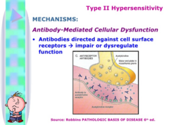 <p>-cytotoxic</p><p>-antibody reacts directly with the antigen that's bound to the cell membrane to induce cell lysis through complement activation</p><p>-antigens can be intrinsic or extrinsic</p><p>-Rh incompatibility of newborn, blood transfusion reaction, autoimmune hemolytic anemia</p>