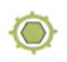 <p>what virus</p>