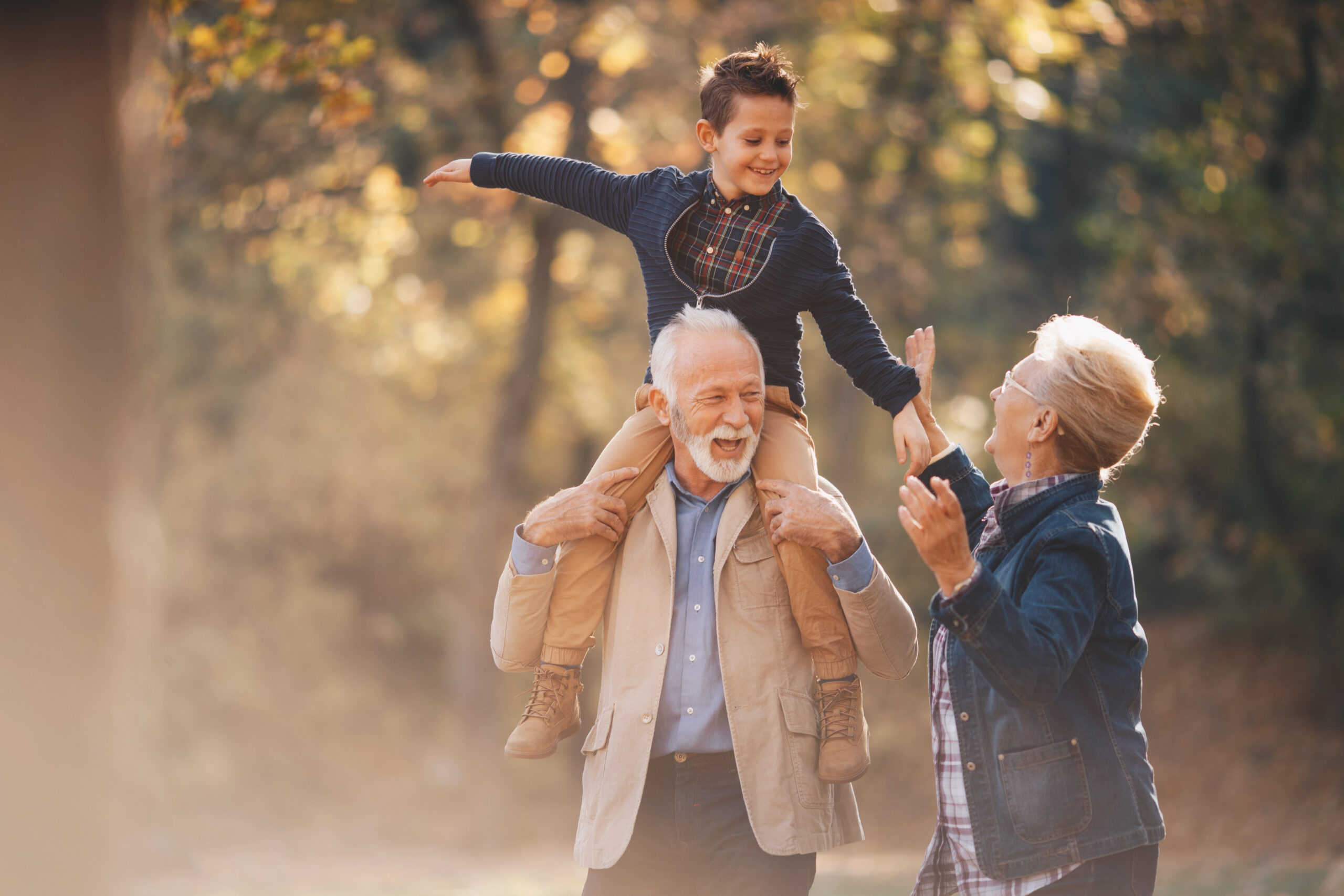 <p>grandparents</p>