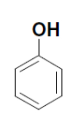 <p>Common name</p>