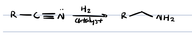 <p>primary amide</p>
