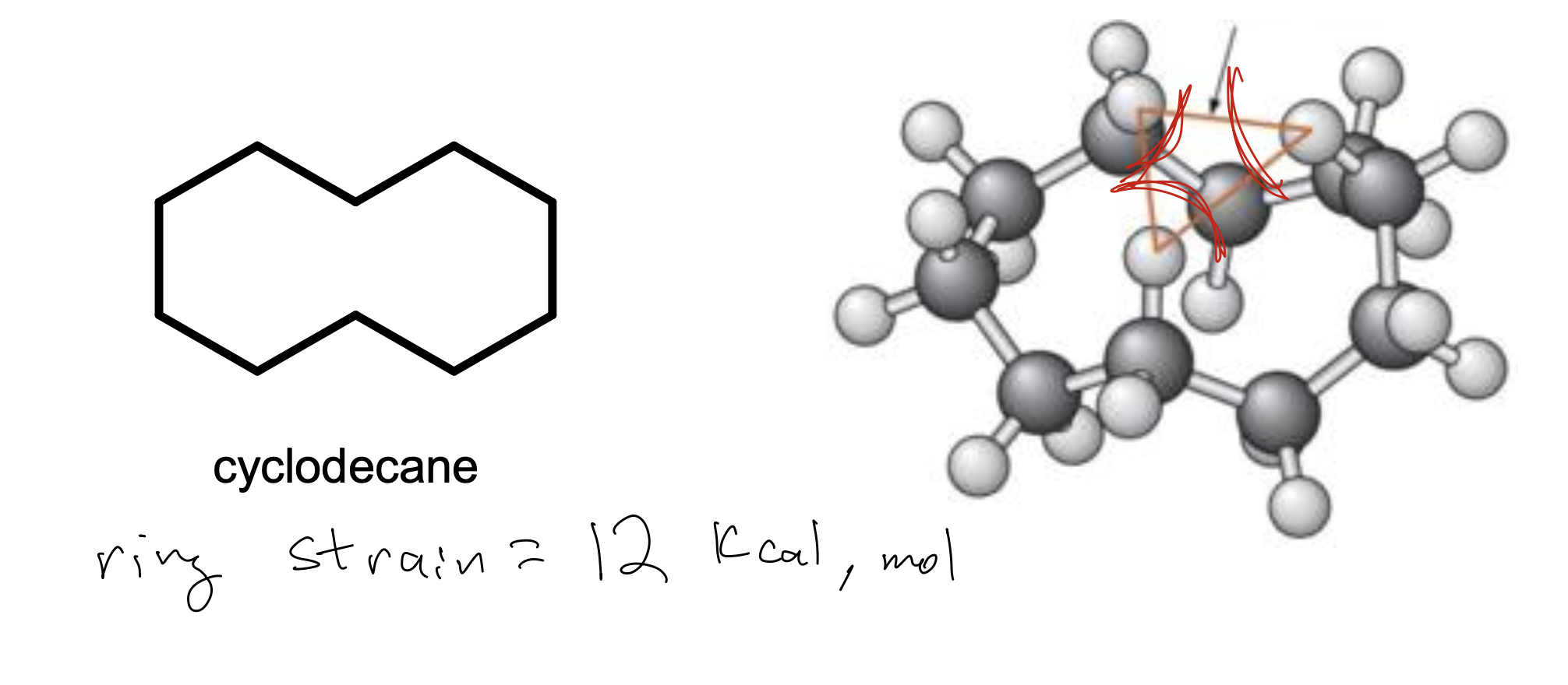 <p>Transannular strain (type of steric strain): <strong>steric clash</strong> between groups on opposite sides of the ring reaching into the same interior space </p><ul><li><p>spacious interior </p></li></ul><p></p><p>+little angle strain as bond angles approach 109.5 degrees </p><p>+many bonds are partially staggered = moderate torsional strain </p><p></p><p>ie cyclodecane (medium ring) </p>