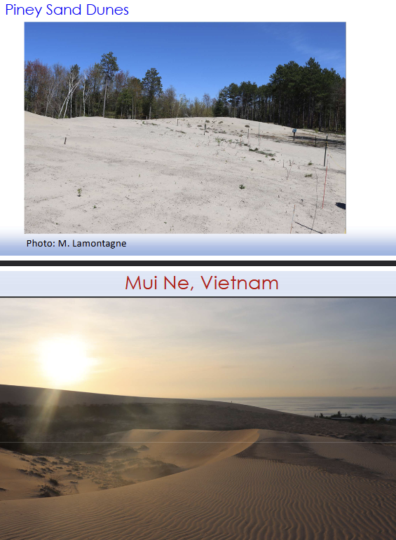 <p><strong>Eolian soils:</strong> soils transported by wind</p><p>• Homogeneous particle size (silt and clay-size</p><p>particles)</p><p>• High porosity</p><p>• In arid regions, fine-grained soils made of silt and</p><p>clay</p><p>• Also called Loess</p>