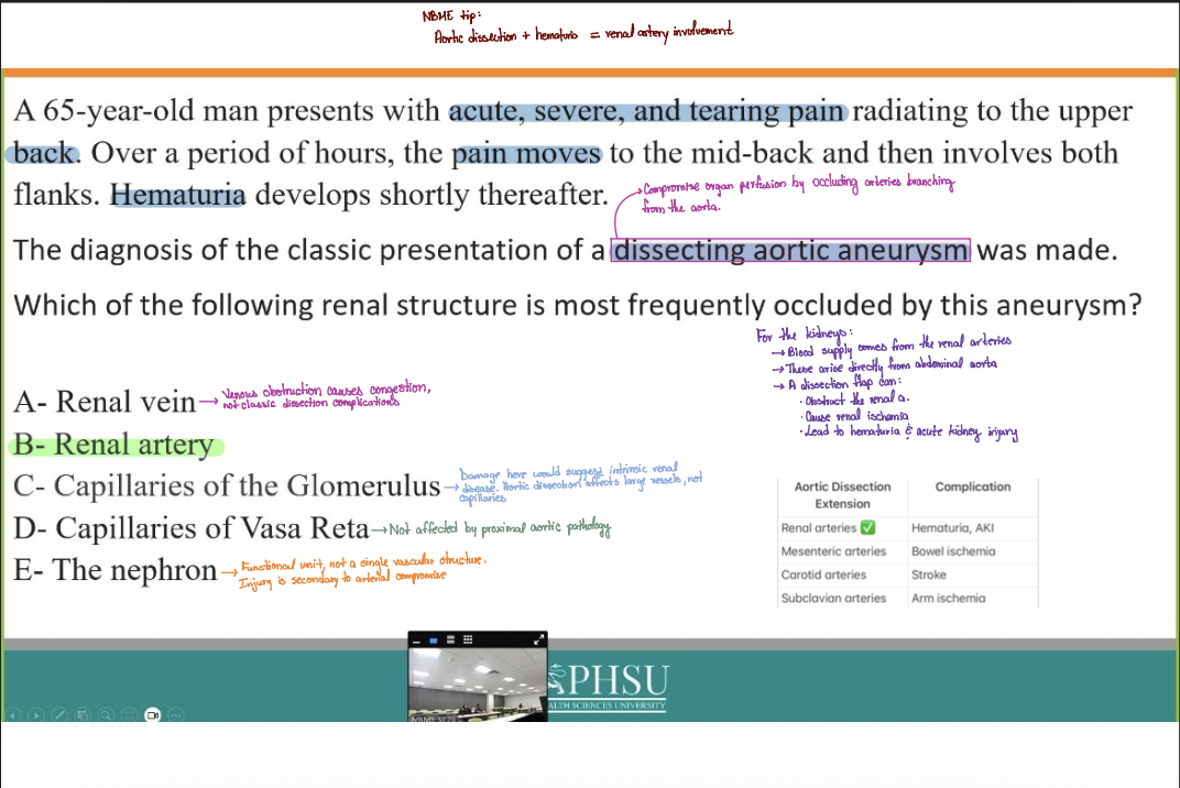 <p>B- Renal artery</p>