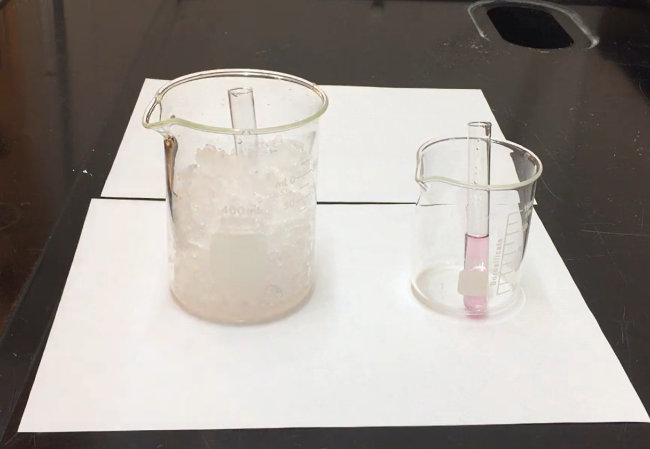 <p><span>What type of change occurs here in the ice bath?</span> </p><p>A. a color change to dark green</p><p>B. nothing</p><p>C. a color change to cobalt blue</p><p>D. a color change to clear</p>