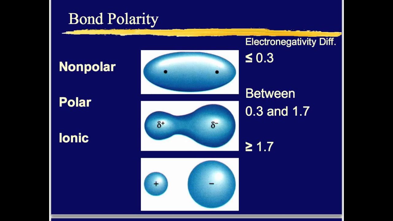 <p>polar has unequal pull (different electronegativities)</p><p>non-polar evenly shares (similar or same electronegativity)</p>