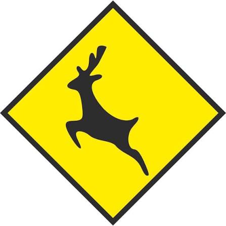<p>What does this sign mean?</p>