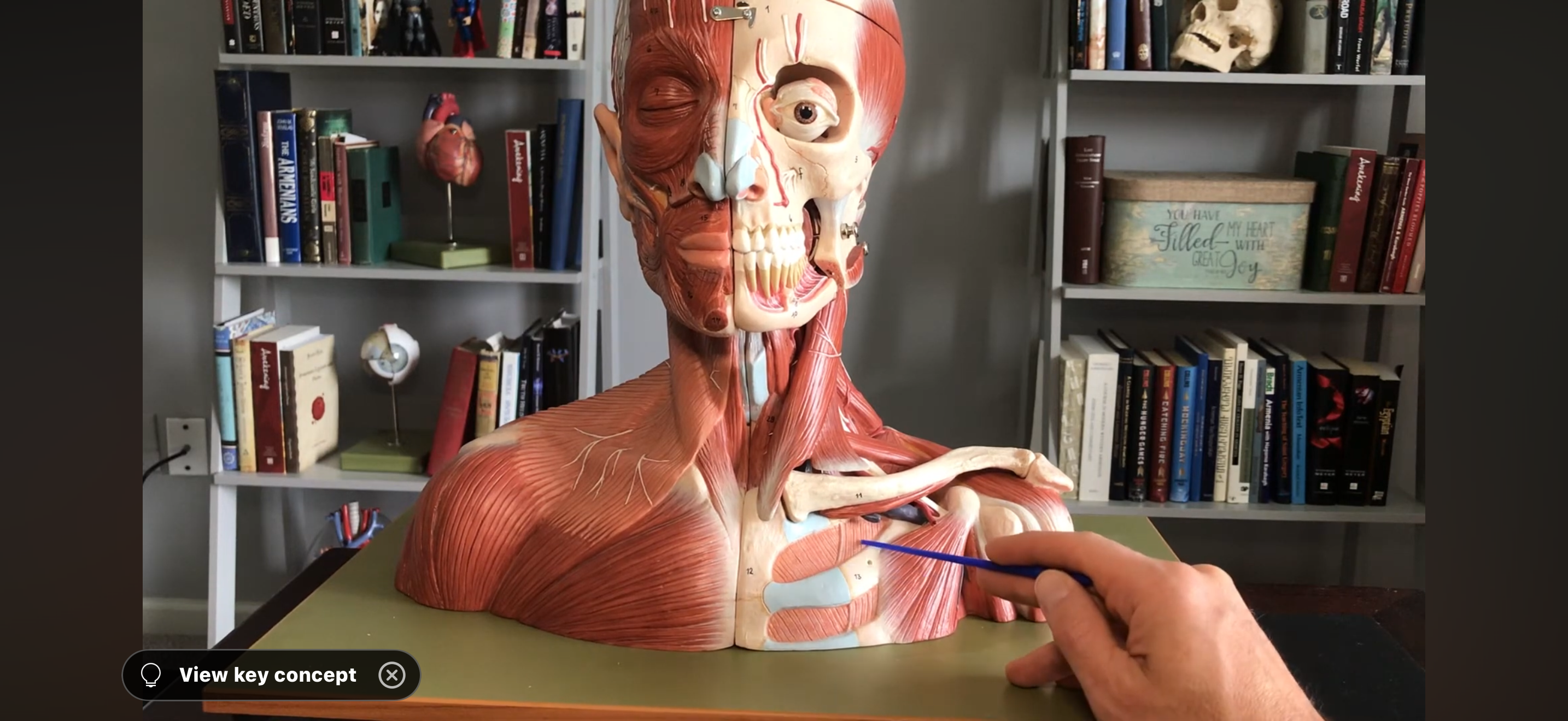 <p></p>