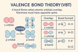 <ul><li><p>atomic orbitals can undergo hybridization to generate hybrid orbitals</p></li><li><p># of hybrid oribtal = # of atomic orbitals combines for hybridization</p></li><li><p>2p orbitals are 90 degrees with respect to each other</p></li><li><p>single bonds between atoms- sigma bond</p></li><li><p>pz orbitals= double/triple bonds, which are pi bonds</p><ul><li><p>double bond=1 pi bond (1 pz)</p></li><li><p>triple bond= 2 pi bonds (1 py and 1 pz)</p></li></ul></li></ul><p></p>