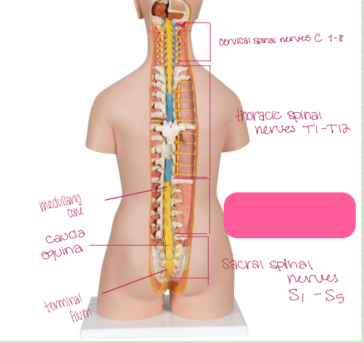 <p>What is being shown? </p>