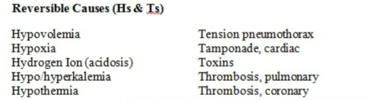 <p>CPR</p><p>Secure airway; give 100% oxygen<br>epinephrine <br>Treat underlying causes <br>Review H and Ts<br>NO SHOCK</p>