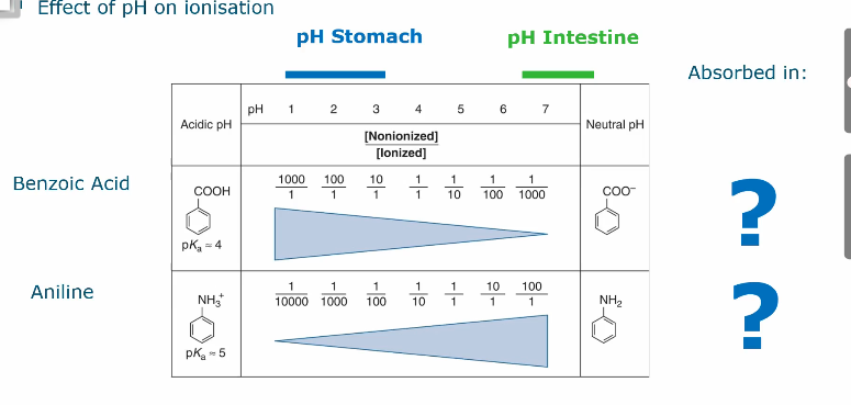 <ul><li><p>At a low pH, the non ionized version of benzoic acid is more present and therefore passes the membrane better as it doesn’t have a charge'</p></li></ul><p></p>