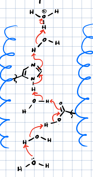 <p>Complex One Stats:</p>
